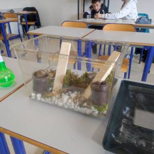 IMG_20230314_145209_original