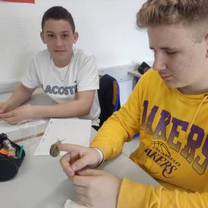 IMG_20230314_145240_original