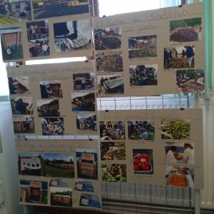 IMG_20230328_090326_original