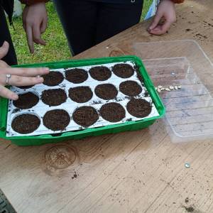 IMG_20230328_141746_original