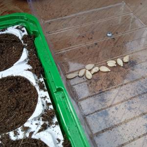 IMG_20230328_141757_original