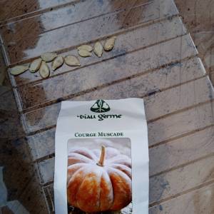 IMG_20230328_141816_original