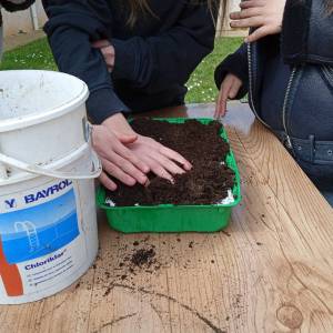 IMG_20230328_142222_original