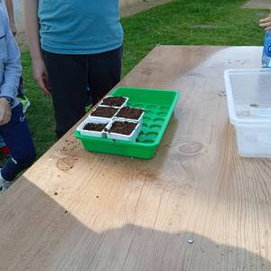 IMG_20230328_163028_original