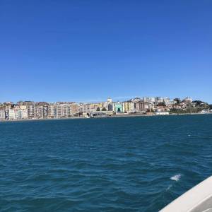 339150521_919338356070878_6466068234646826027_n_original