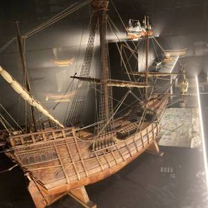 339969542_253152667142273_1614204736586368201_n_original