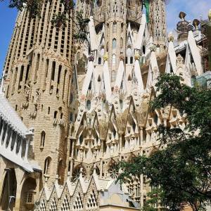 IMG-20230426-WA0011_original