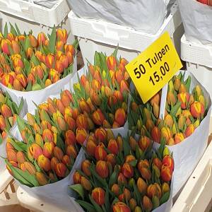 20230427_113423_original