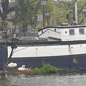 20230428_144730_original