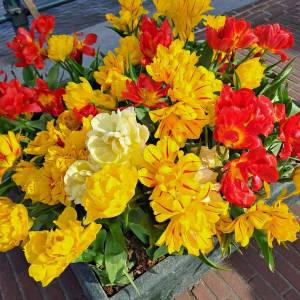 IMG-20230429-WA0007_original