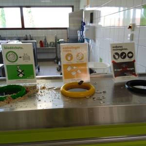 IMG_20230505_130412_original