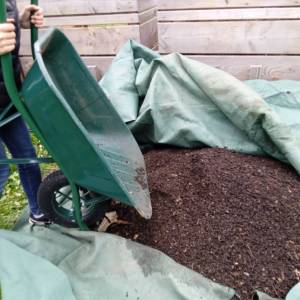 IMG_20230516_132518_1_original