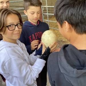 SORTIE_FERME_11_05_2_original