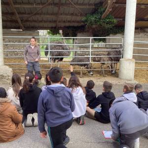 SORTIE_FERME_11_05_3_original