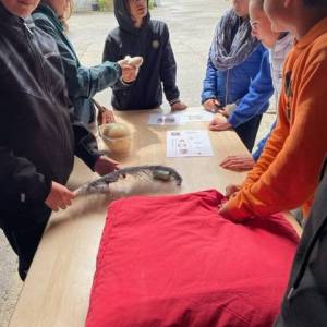 SORTI_EFERME_11_05_12_original