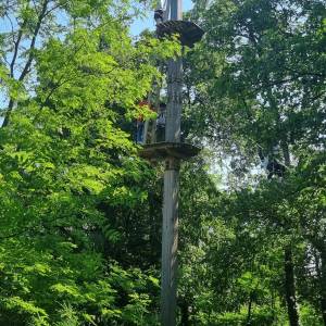 IMG-20230605-WA0024_original