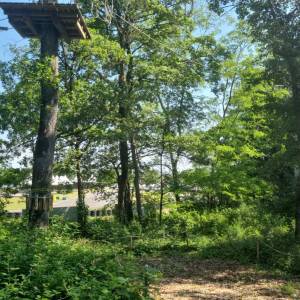 IMG-20230605-WA0029_original