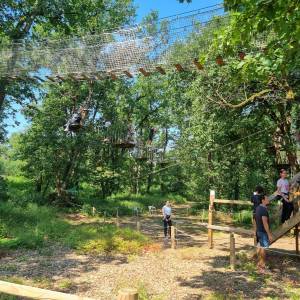 IMG-20230605-WA0037_original