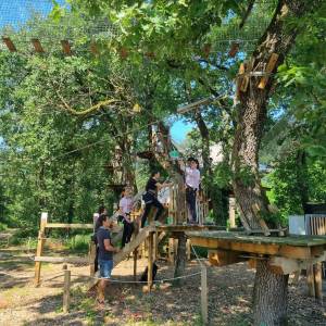 IMG-20230605-WA0038_original