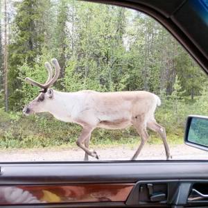 IMG-20230615-WA0000_2_original