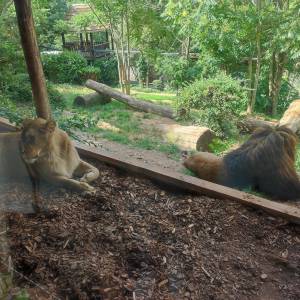 IMG_20230620_104102_original