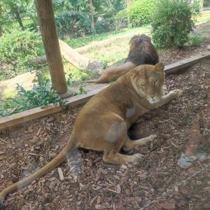 IMG_20230620_104152_original