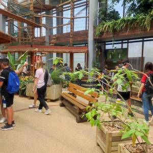 IMG_20230620_104539_original