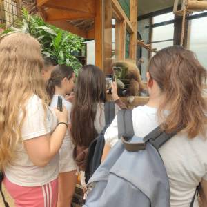 IMG_20230620_104759_original