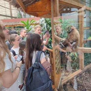 IMG_20230620_104812_original