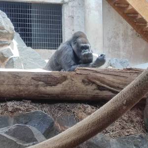 IMG_20230620_105118_original