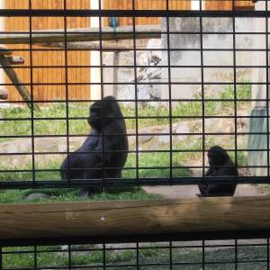 IMG_20230620_114118_original