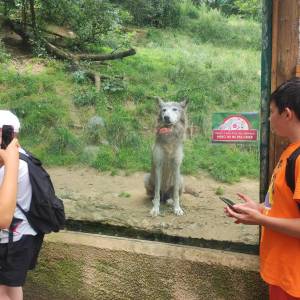 IMG_20230620_133145_original