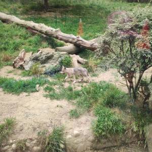 IMG_20230620_133247_original