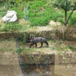 IMG_20230620_133328_original