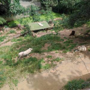 IMG_20230620_133542_original