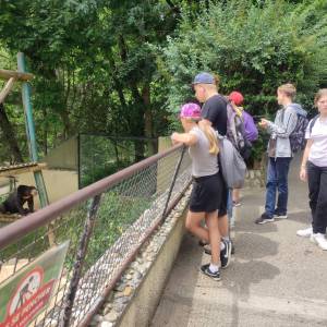 IMG_20230620_134430_original