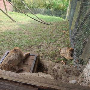 IMG_20230620_134738_original