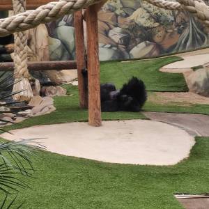 IMG_20230620_135547_original