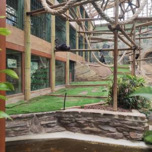 IMG_20230620_135647_original