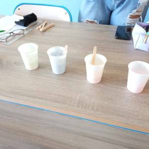 379311031_212858858459004_1286997663878626391_n_original