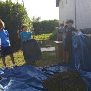 IMG_20230911_165348_1_original