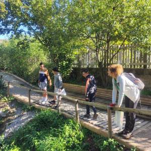 IMG_20230926_110650_original