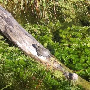 IMG_20230926_110705_original