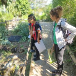 IMG_20230926_110841_original