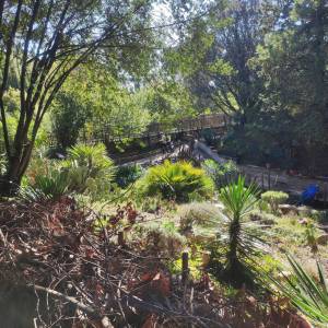 IMG_20230926_111145_original