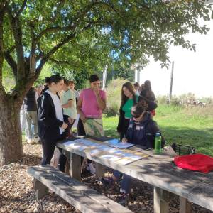 IMG_20230926_111945_original