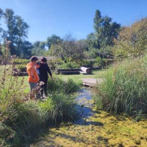 IMG_20230926_115152_original