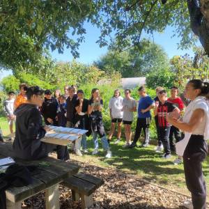 IMG_20230926_120106_original