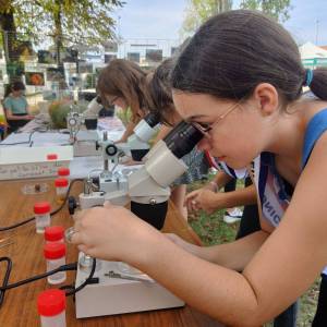 -333715141118044096_original