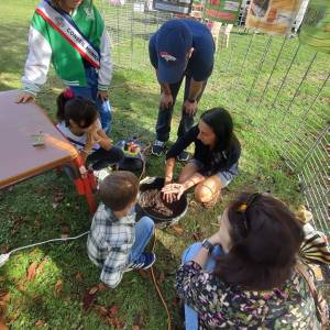 -736354551028435989_original